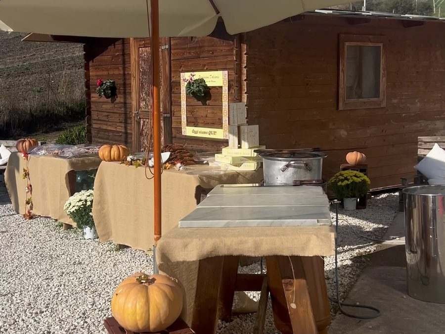 Il nostro laboratorio a cielo aperto allestito per l'accoglienza dei visitatori